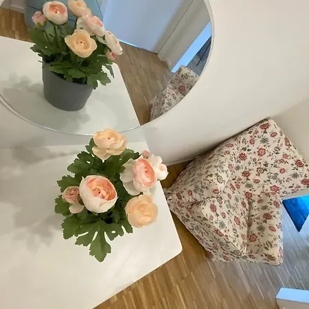 Bequemes Wohnen Fur Geschaftsreisende Und Familien Apartment *